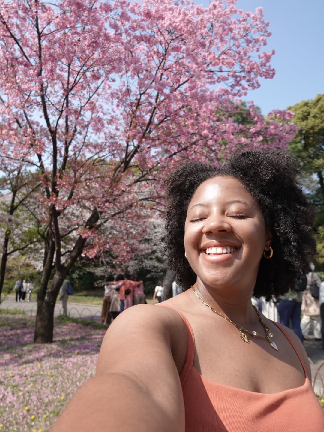 Six Weeks in Japan: An Honest Report